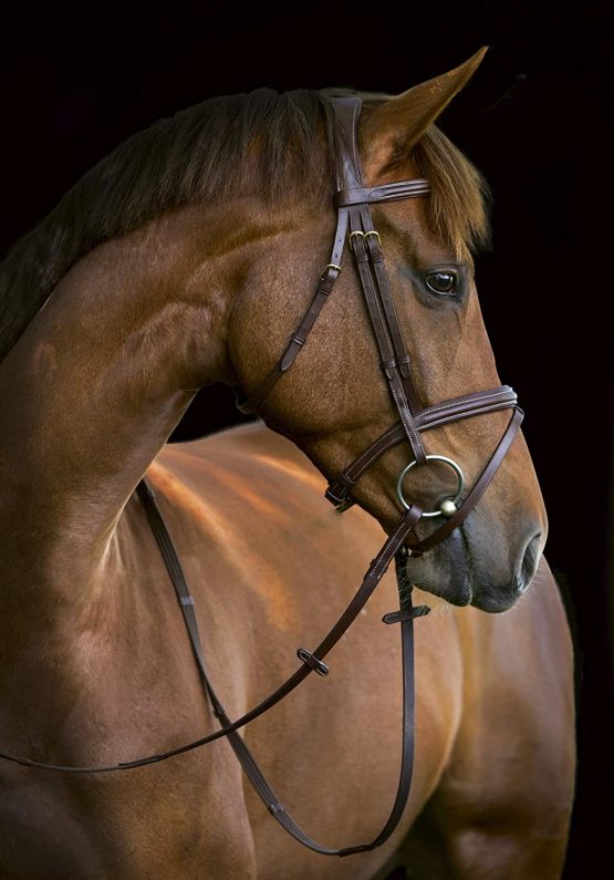 KERBL Classic bridle - Image 4