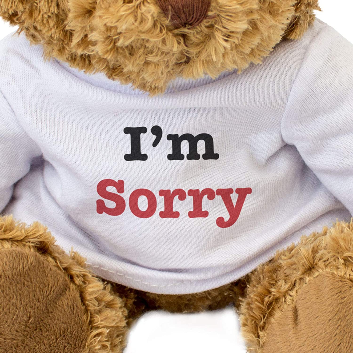 NEW – I AM SORRY – Teddy Bear – Cute Soft Cuddly – Sorry Gift Present ...