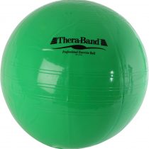 TheraBand Gym Exercise 65cm Ball for Sport Training , Yoga and Fitness, Home Gym Equipment with Inflation Adaptor - Colour Green