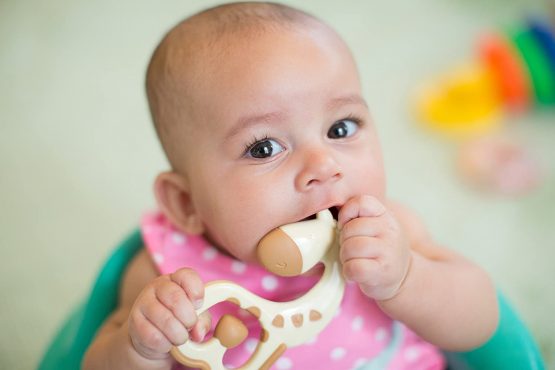 Dr Brown's Ridgees Giraffe Teether - Image 3
