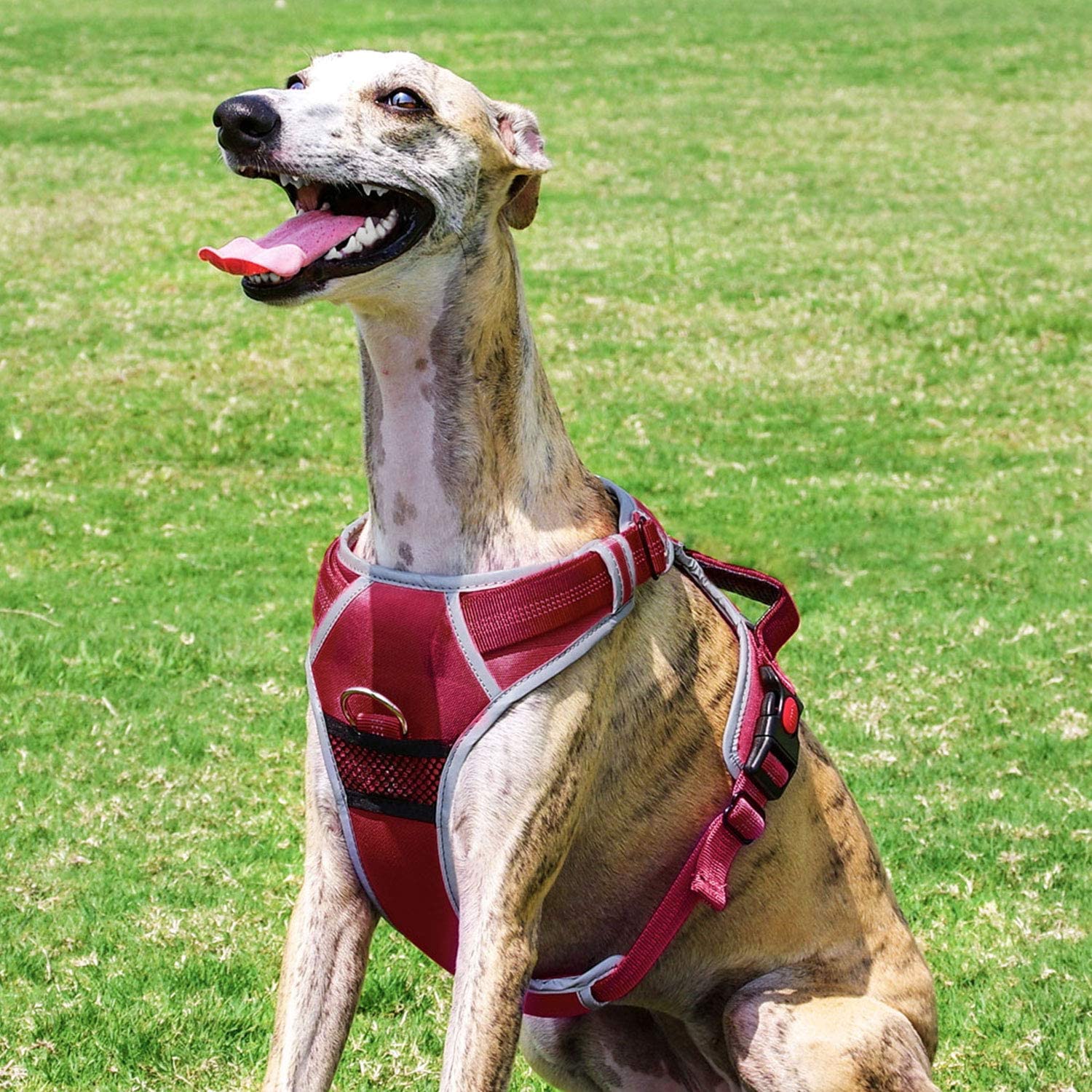 ThinkPet No Pull Breathable Sport Dog Harness Reflective Padded