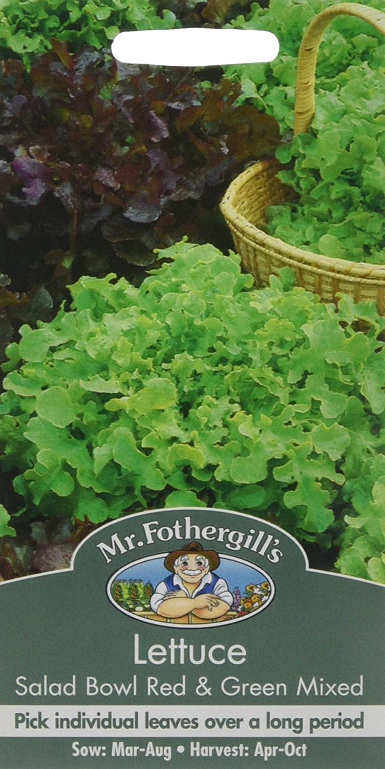 Mr Fothergill's 17329 Vegetable Seeds, Lettuce Salad Bowl Red & Green Mixed, red/Green