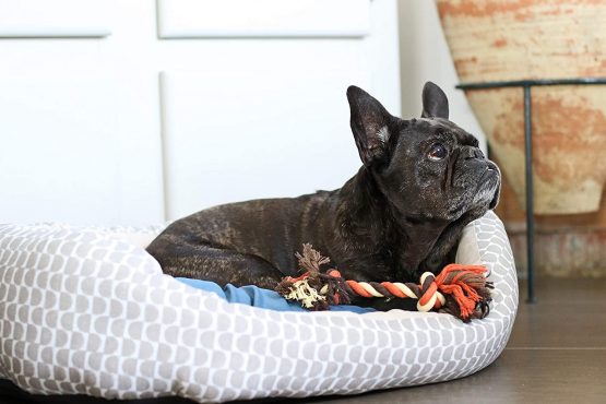 Aime Cotton Rope Toy for Dogs 20 cm - Image 4