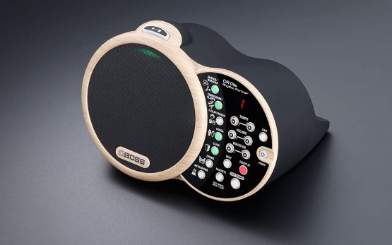 BOSS Dr-01S Rhythm Partner for Acoustic Musicians - Image 4