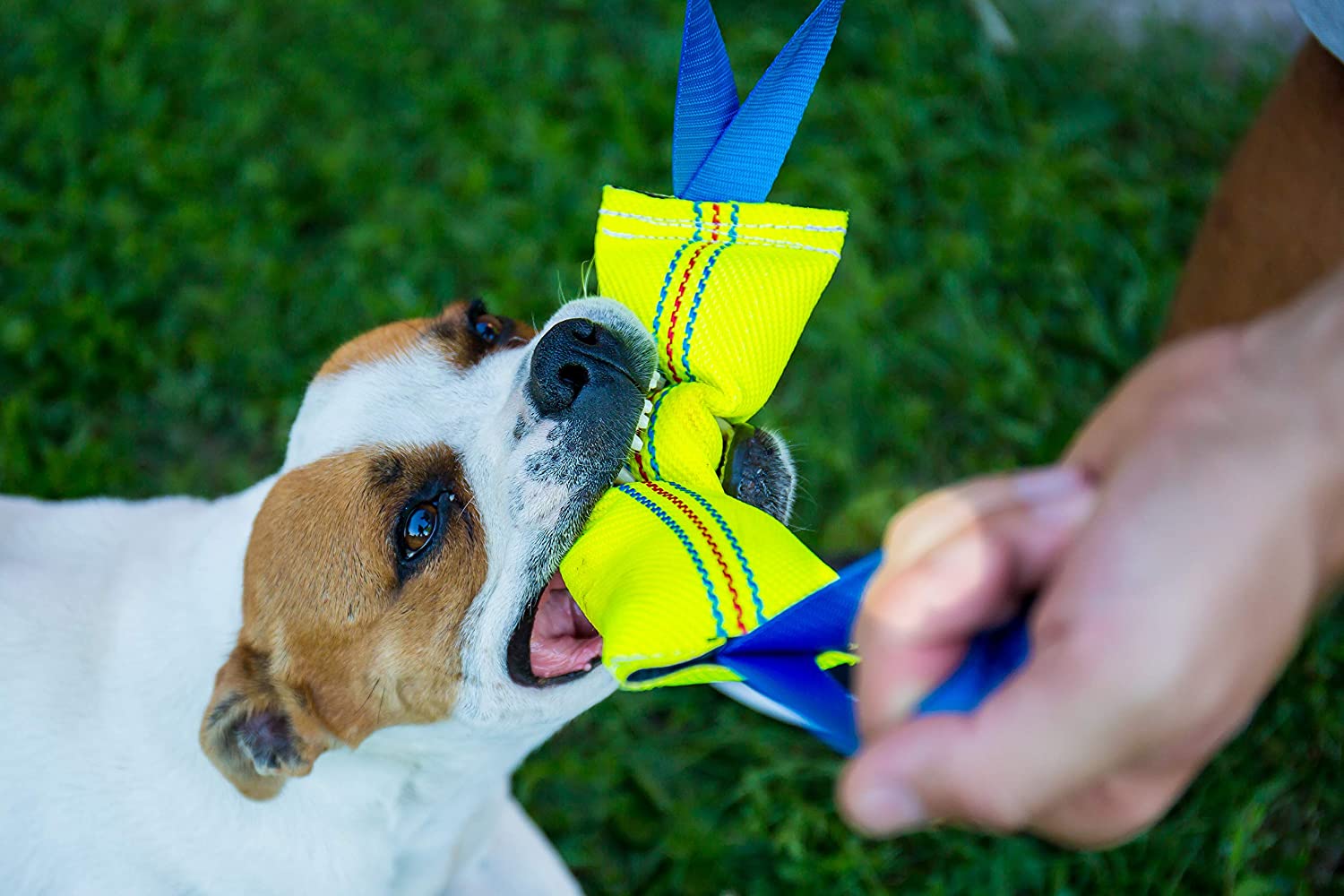 Bull Fit Dog Tug Toy 30 cm with 2 Strong Handles, Made of Durable & Tear-Resistant Fire Hose - Image 2