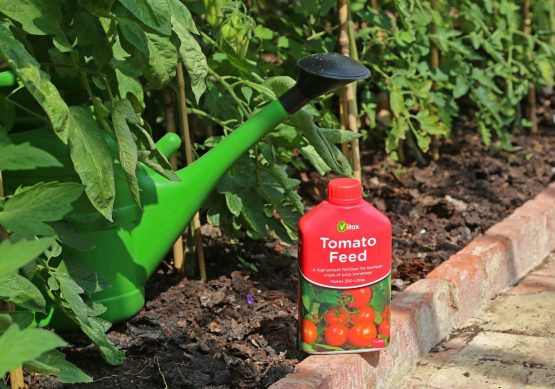 Vitax 1L Liquid Tomato Feed - Image 3