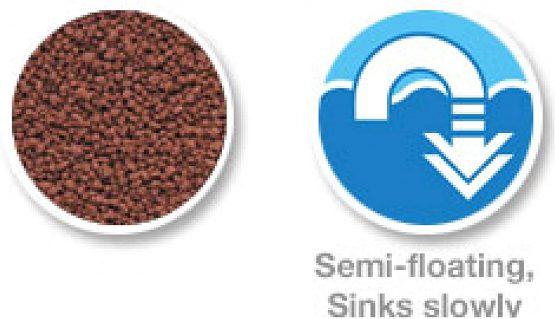 Hikari Tropical Micro Pellets 22g *Pack of Two* - BUNDLE - Image 3