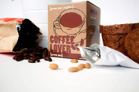 Gift Republic GR130003 Grow Me Coffee Lover, 12.0 cm*12.0 cm*12.0 cm