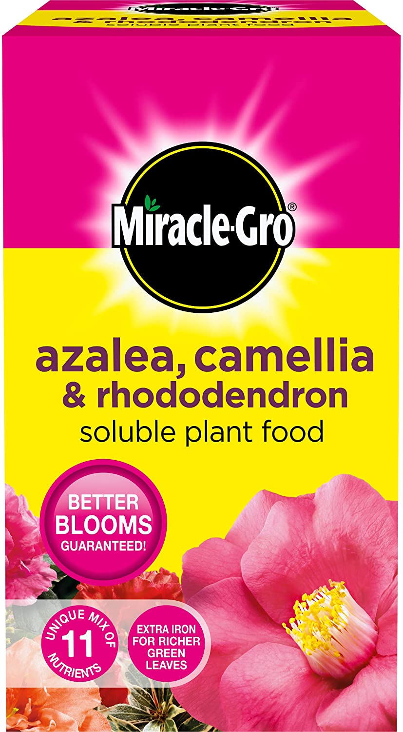 Miracle-Gro Azalea, Camellia & Rhododendron Soluble Plant Food, 1 kg, 1 kg Soluble Plant Food