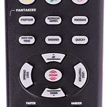 Froster Talking Remote Controller - Take Control of Your Woman, Silly Gift for Men, 33 recordings