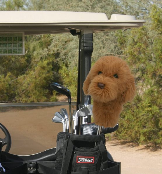 Daphne's Doodle Dog Driver/Fairway Wood Head Cover - Brown - Image 2