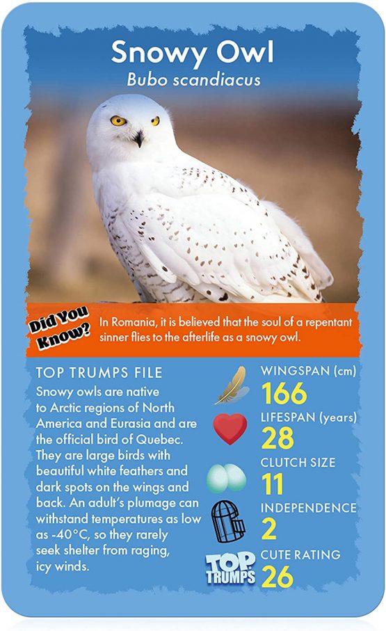 Birds Top Trumps Card Game - Image 4