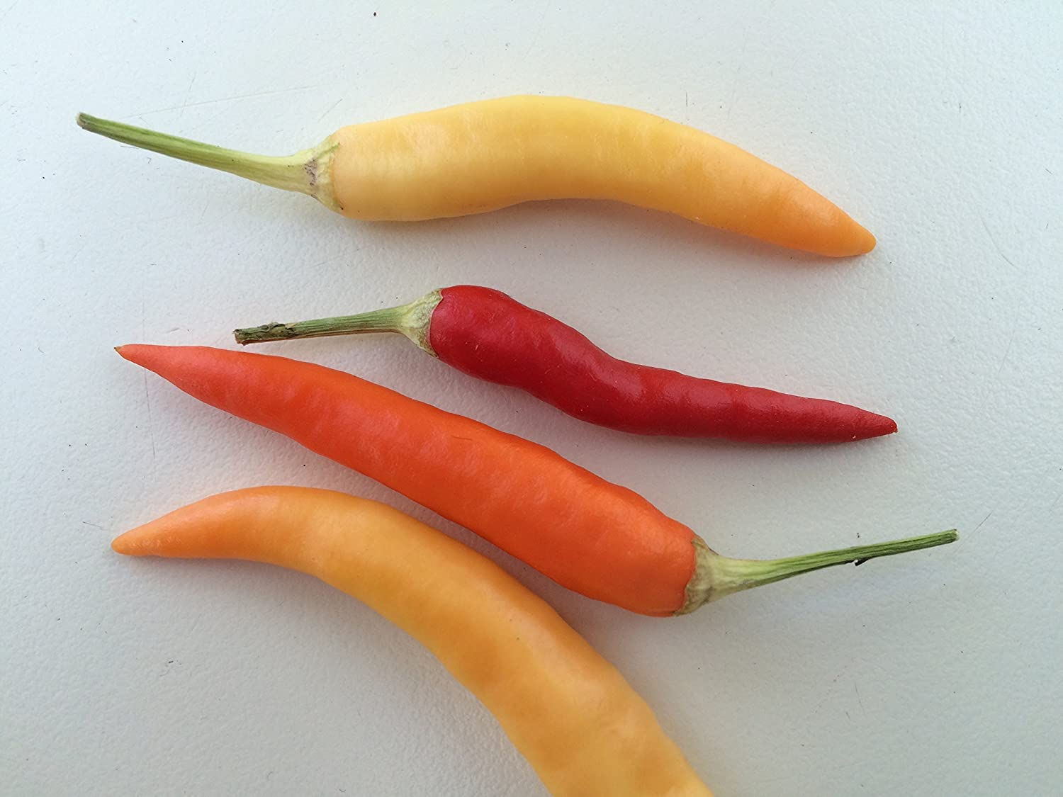 PREMIER SEEDS DIRECT - HOT Chilli Pepper - Basket of FIRE F1-8 Finest Seeds, Mix, 8 Seeds - Image 2