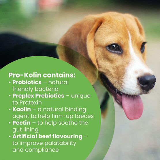 Pro-Kolin for dogs and cats–Probiotic paste to support the gut 15ml + Syringe - Image 3