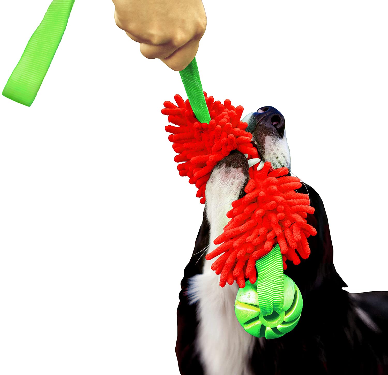 DINGO Floatable Tug Toy with a Flavoured Ball and Bungee Handle, Handmade Dog Chaser for Play Tug of War, Agility, Fetch