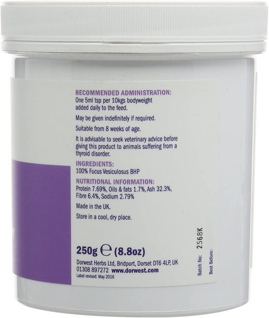 DORWEST HERBS Kelp and Seaweed Powder for Dogs and Cats 250g - Image 2