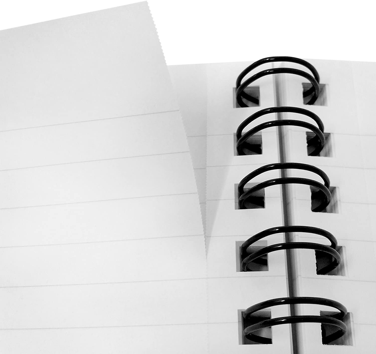 Monster Stationery - A4 Lined Notebook - 160 Perforated 80gsm Pages - Made in UK - Joshua Green Design - Wild Cat - Image 3