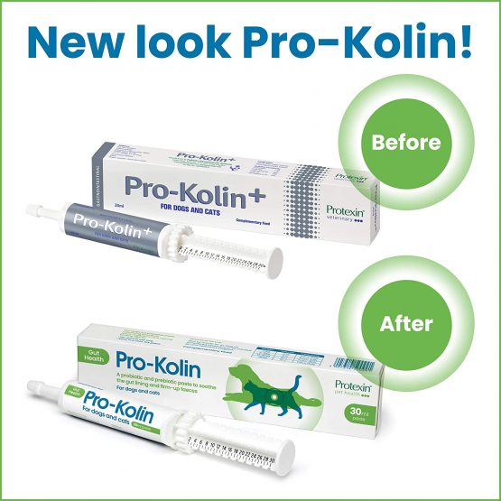 Pro-Kolin for dogs and cats–Probiotic paste to support the gut 15ml + Syringe - Image 2