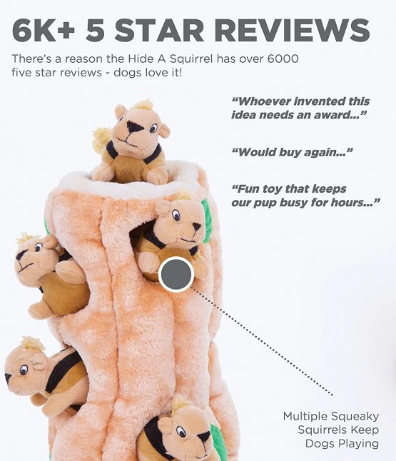 Outward Hound Hide A Squirrel Plush Dog Toy Puzzle, Small - Image 2