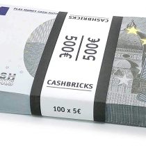 Cashbricks® 100 x €5 EURO play money banknotes