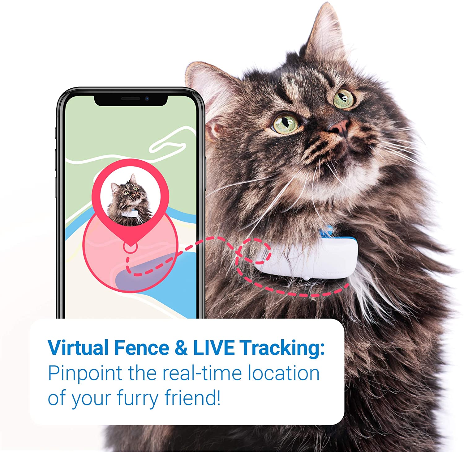 Tractive GPS Cat Tracker with Custom Cat Collar, Follow them Everywhere ...
