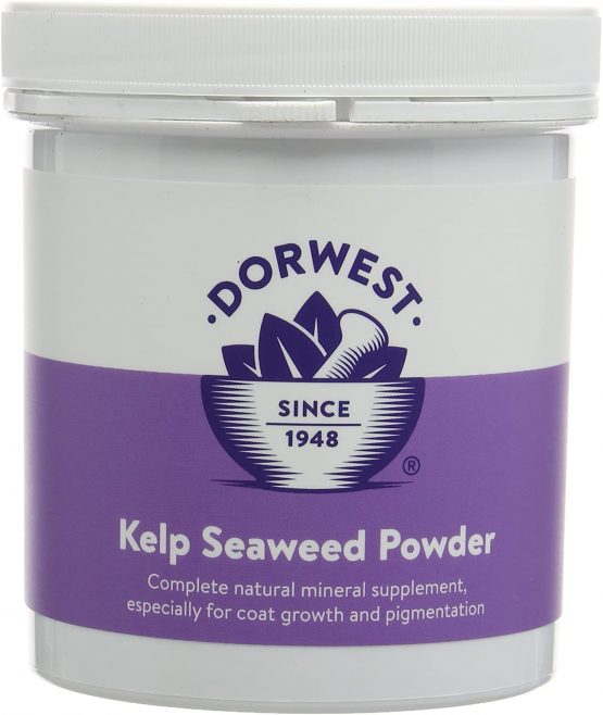 DORWEST HERBS Kelp and Seaweed Powder for Dogs and Cats 250g