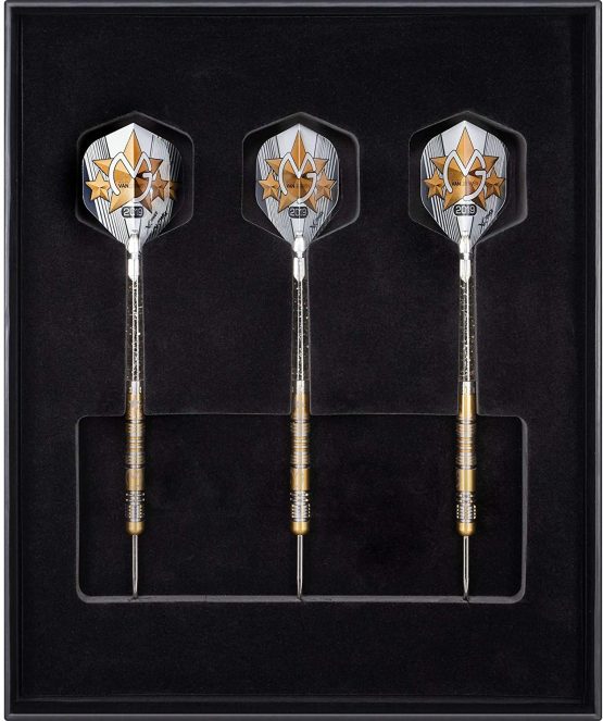 XQmax Unisex Adult MVG Darts Michael Van Gerwen WC2019 Limited Edition