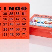 DiPrint 200 large printed Bingo cards for seniors system 25 from 75 (red)
