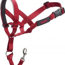 Halti Head Collar, Head Halter Collar for Dogs, Head Collar to Stop Pulling for Small, Medium and Large Dogs
