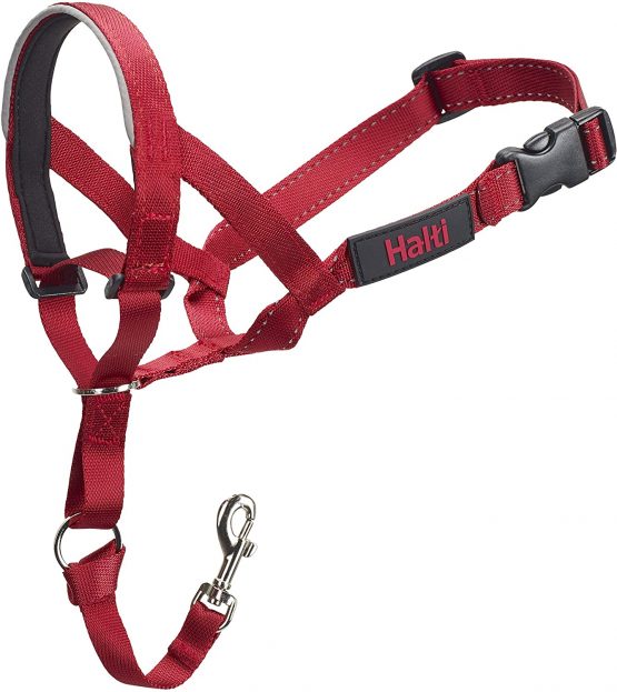 Halti Head Collar, Head Halter Collar for Dogs, Head Collar to Stop Pulling for Small, Medium and Large Dogs