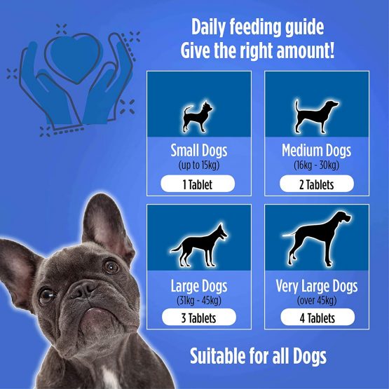 Monbelle Dog Calming Relax Tablet - 60 Tablets Help to Calm Stressed, Fireworks Storms or Nervous Dogs - Canine Behavioral Guide, Anxiety Relief, Peaceful Pup Rescue Remedy Aid - UK Manufactured - Image 4