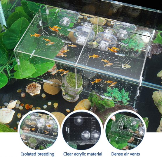 POPETPOP Fish Breeding Box - Acrylic Fish Isolation Box Aquarium Hatchery Incubator with Suction Cups for Baby Fishes Shrimp Guppy Clownfish Aggressive Fish - Image 2