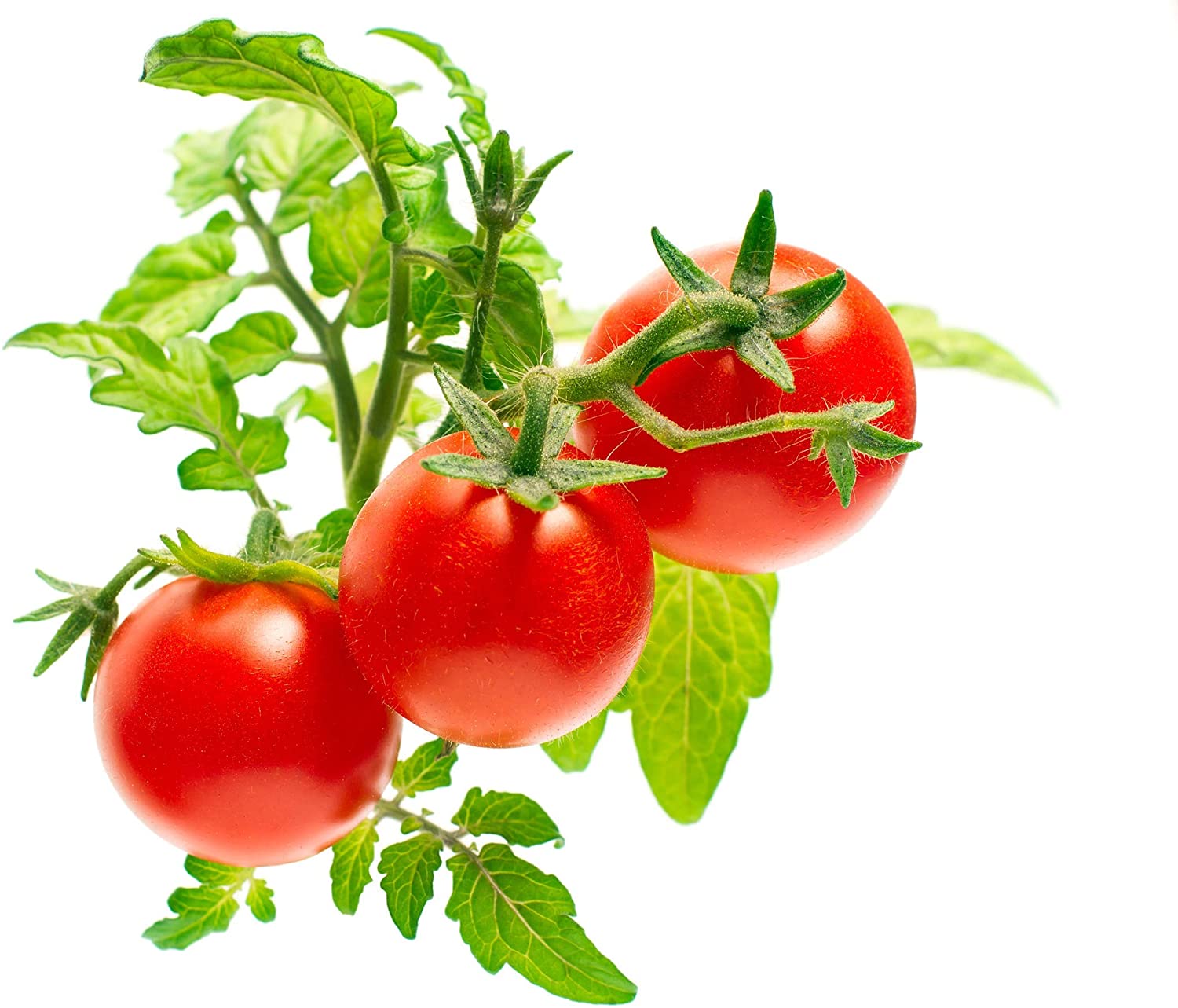 Click and Grow SGR5x3 Smart Garden Mini Tomato Plant Pods