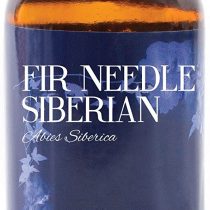 Mystic Moments | Fir Needle Siberian Essential Oil - 100ml - 100% Pure