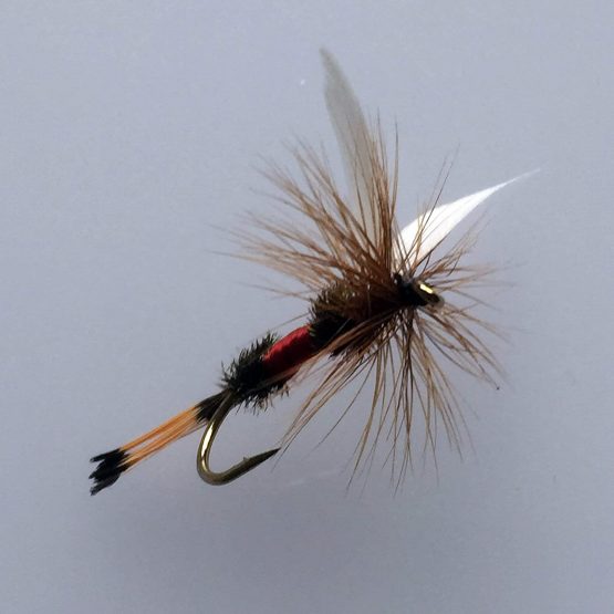 BestCity Fly Fishing DRY ROYAL COACHMAN Set of 16 trout flies with Clip shut Fly Box - Image 3