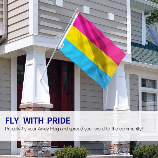 Anley Fly Breeze 3x5 Foot Pansexual Pride Flag - Vivid Color and UV Fade Resistant - Canvas Header and Double Stitched - Omnisexual LGBT Flags Polyester with Brass Grommets 3 X 5 Ft - Image 2