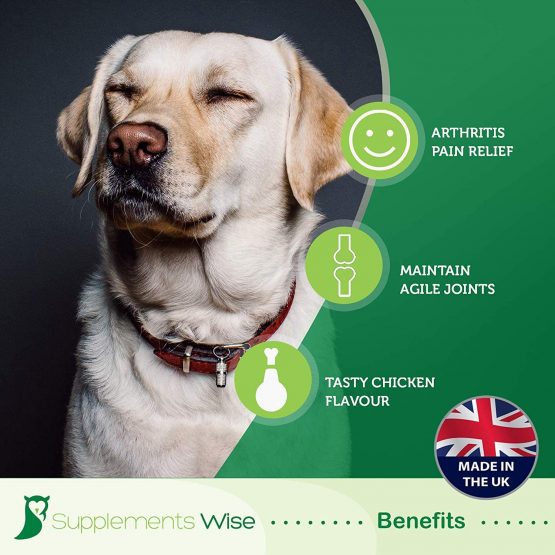 Supplements Wise Dog Joint Care Supplements - With Glucosamine and Chondroitin For Dogs - Powerful Pain Relief Anti Inflammatory Complex - Arthritis Mobility Support - 120 Chicken Flavour Tablets - Image 2