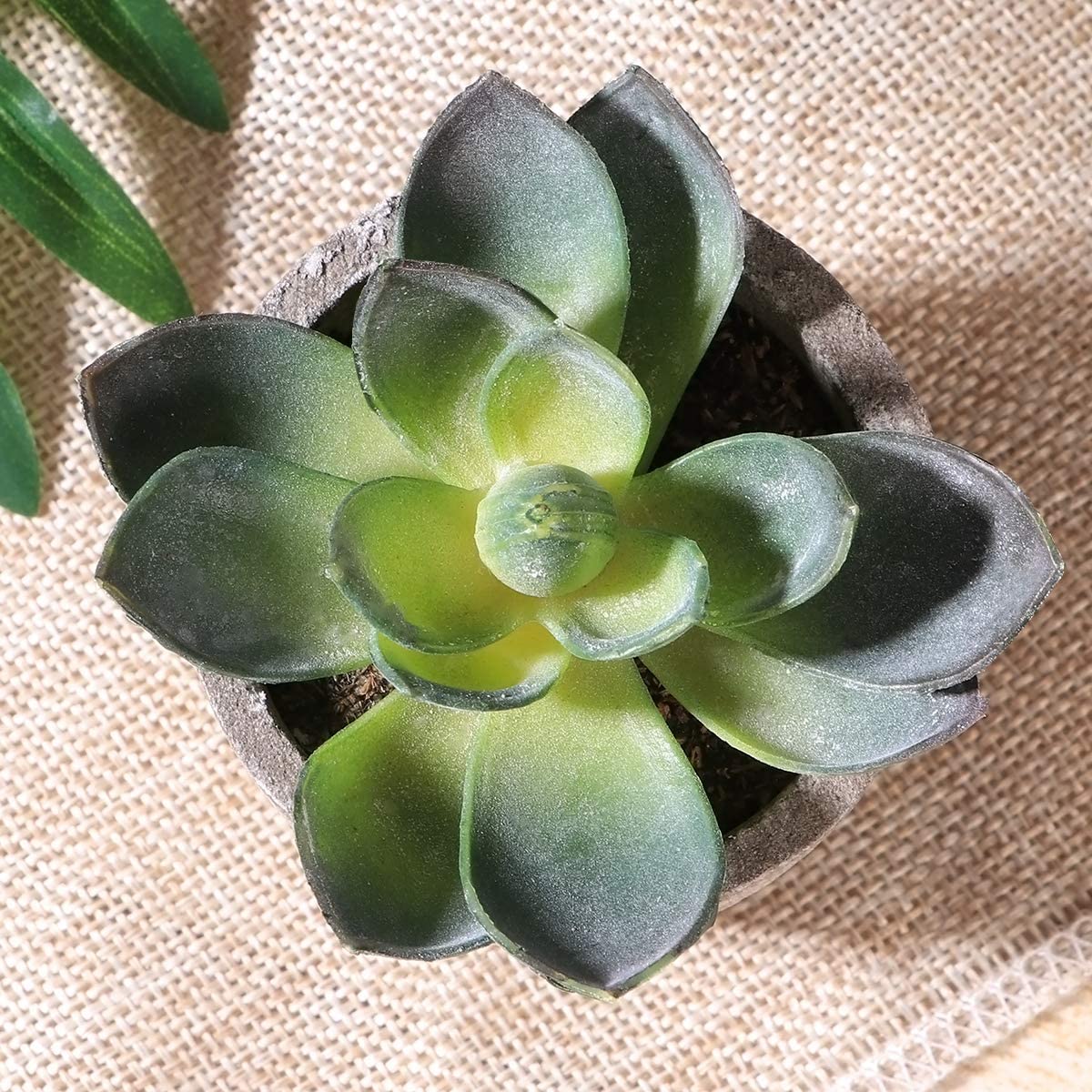 Ounona Artificial Succulent Plants with Pots Table Decoration Home Balcony Office Decoration Set of 3 for Home Office Decor - Image 3