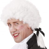 Mozart In Box Wig for Hair Accessory Fancy Dress