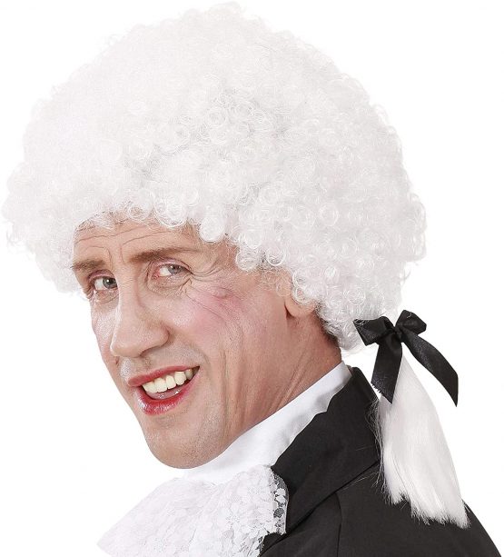Mozart In Box Wig for Hair Accessory Fancy Dress