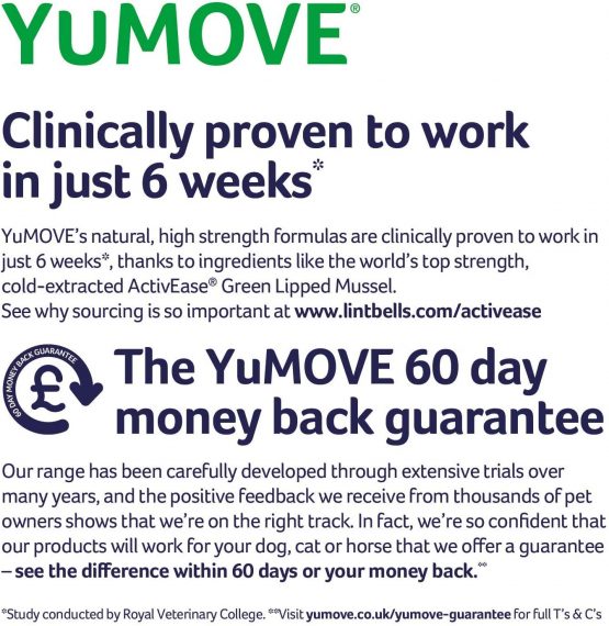 Lintbells | YuMOVE Adult Dog | Hip and Joint Supplement for Stiff Adult Dogs, with Glucosamine, Chondroitin, Green Lipped Mussel | Aged 6 to 8 | 120 Tablets - Image 2