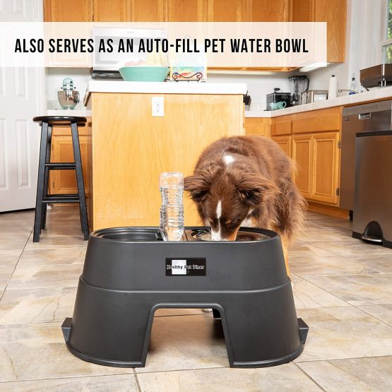 Our Pets Comfort Feeder Healthy Pet Diner Raised Dog Bowls Elevated ...