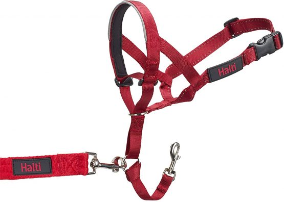 Halti Head Collar, Head Halter Collar for Dogs, Head Collar to Stop Pulling for Small, Medium and Large Dogs - Image 3