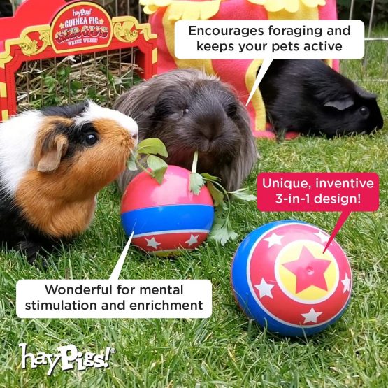 HAYPIGS Circus themed TREAT BALL - 3-in-1 Enrichment Toy - Rabbit Toys - Hamster Toys - Guinea Pig Toys - Small Animal Boredom Breaker - Image 4