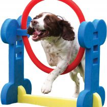 Rosewood Small Dog Agility Hoop