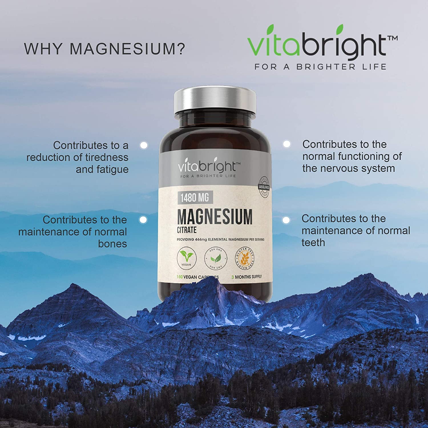 VitaBright Magnesium Citrate Capsules 1480mg, 240 count (Pack of 1) - Image 2