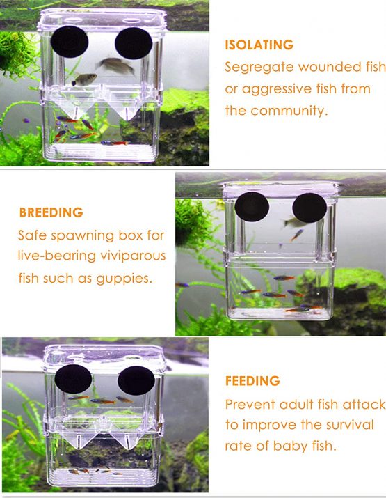 Tiberham Fish Breeding Box, Acrylic Floating Fish Hatchery Isolation Box, Double Layer Fry Hatching Incubator Breeding Rearing Trap, Aquarium Tank Fish Parenting Container Divider with Suction Cups - Image 4