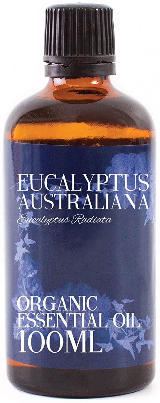 Mystic Moments | Eucalyptus Australiana (Radiata) Organic Essential Oil - 100ml - 100% Pure