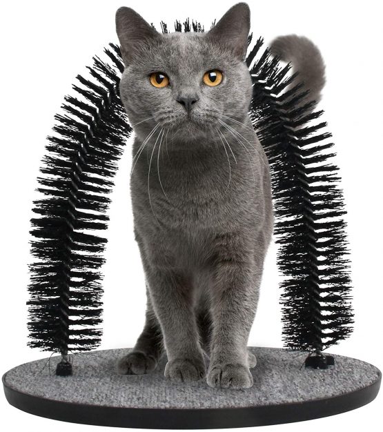 cat brush toy