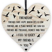 Best Friendship Gift & Plaque for Special Friend, Women, Wife, Him, Her, Mum, with Sayings Message, Ornament and Quote Wooden Hanging Heart Leaving Wall Sign